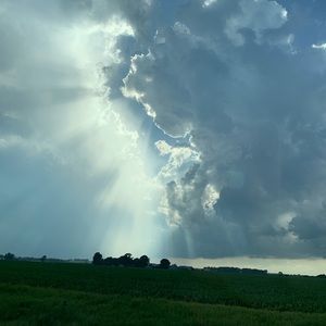 Meet your Posher, Kari